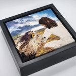 Load image into Gallery viewer, The Lamb and the Lion By Jessica Hansen
