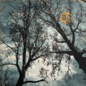 Autumn Apparitions 2024