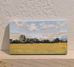 Artwork by Denise Miller