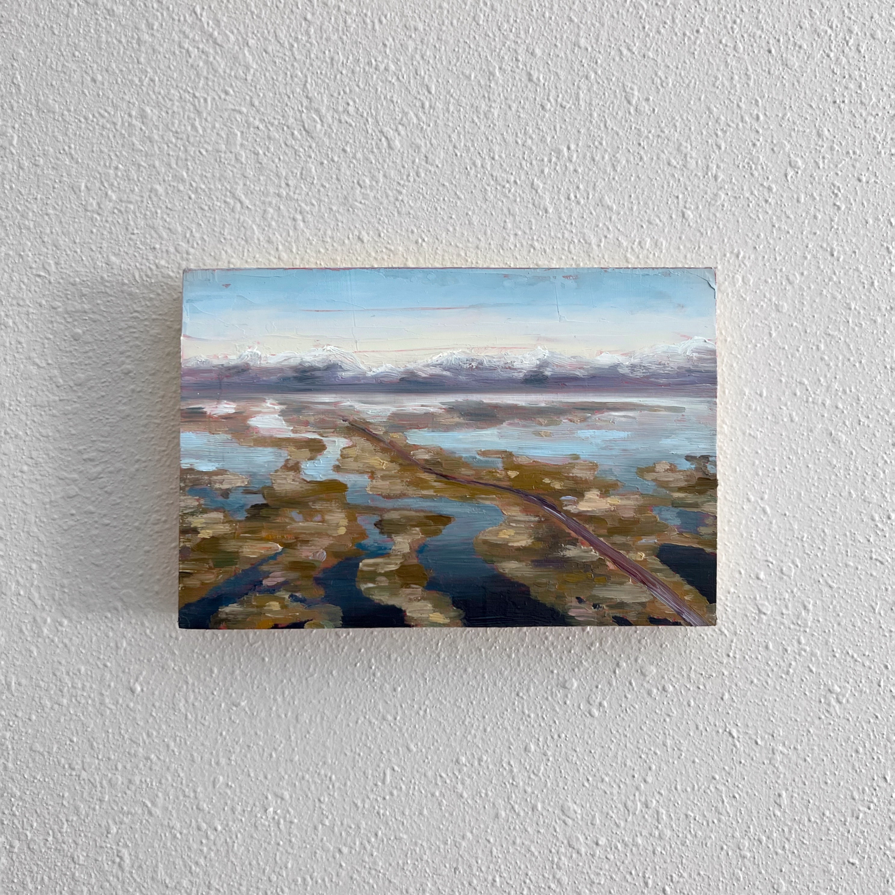 Bear River Meets The Great Salt Lake by Elizabeth Bishop Wheatley