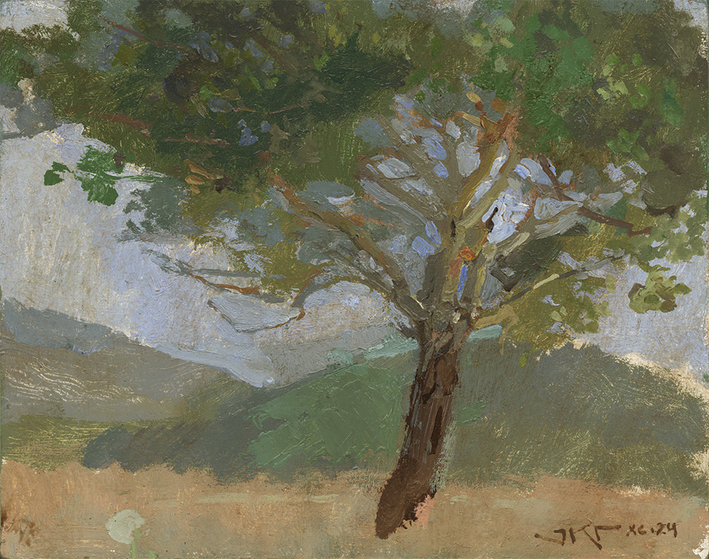 Lauritzen Field Tree, J. Kirk Richards