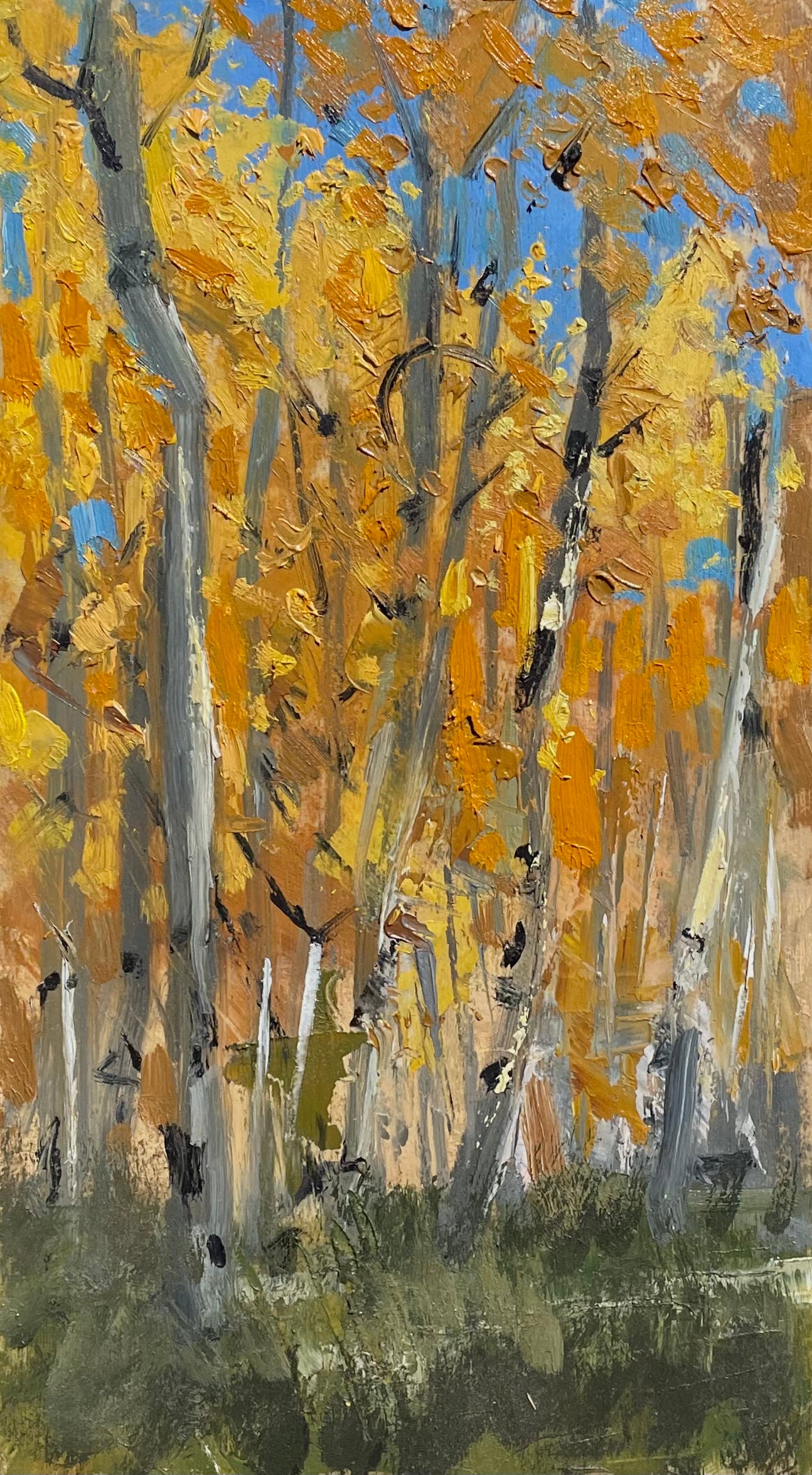 Aspens attempt #5 by Timothy Padilla