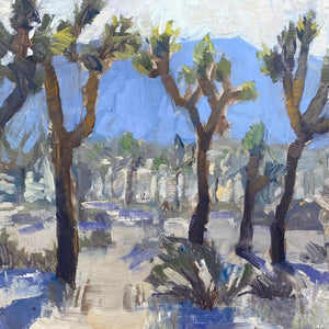 Joshua Trees by Sarah Anne Wilson