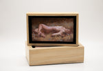 Load image into Gallery viewer, Artwork by Alex Merrill
