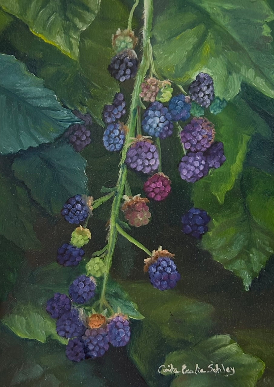 Anita Eralie Schley, Blackberries
