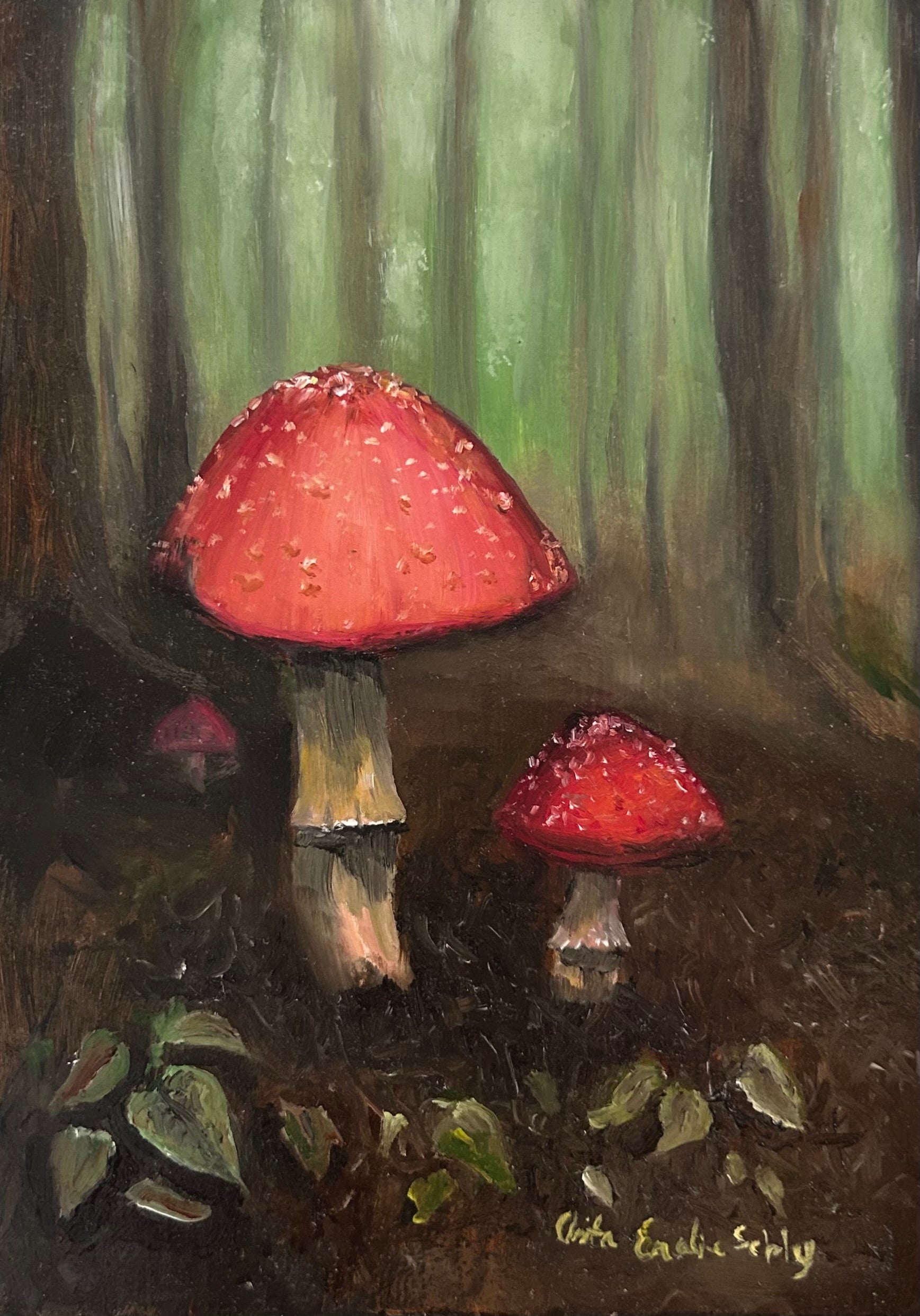Anita Eralie Schley, Red Cap Mushrooms