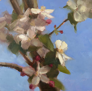 Apple Blossom Time, Cortney Lunt