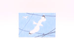 Load image into Gallery viewer, Artwork by Beatrice Powell

