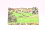 Load image into Gallery viewer, Artwork by Bill Petersen
