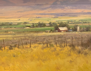 Bryan Mark Taylor, Farms Across the Valley