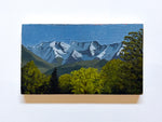 Load image into Gallery viewer, Artwork by Bryn Bluth
