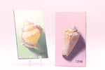 Load image into Gallery viewer, Artwork by Cali Ward
