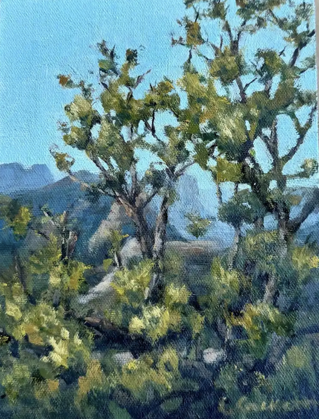 Cheryl Crockett, Filtered Canyon