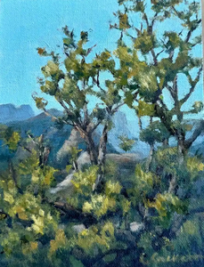 Cheryl Crockett, Filtered Canyon