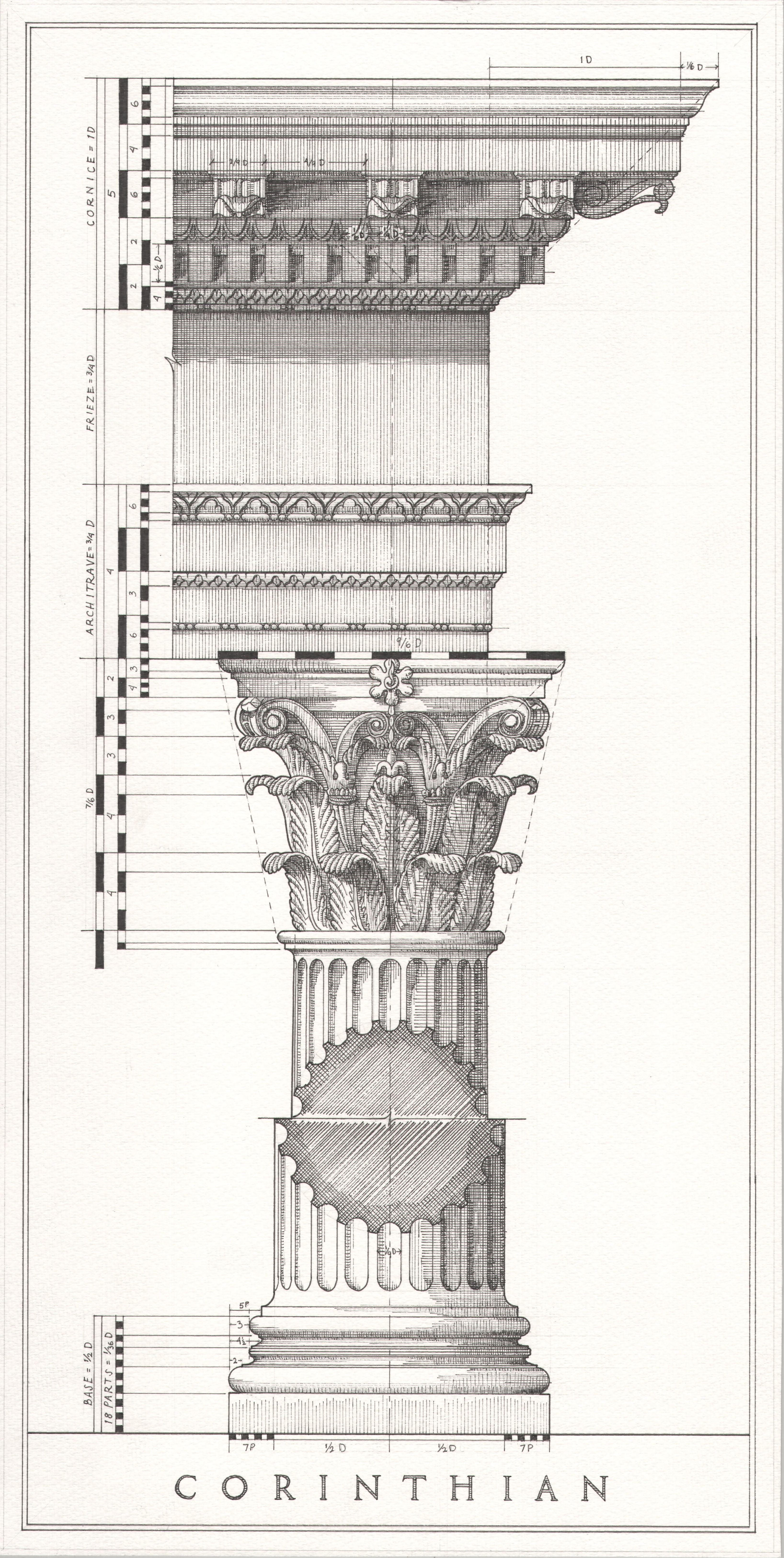 Corinthian Order According to the Institute of Classical Architecture and Art, Ben Felix