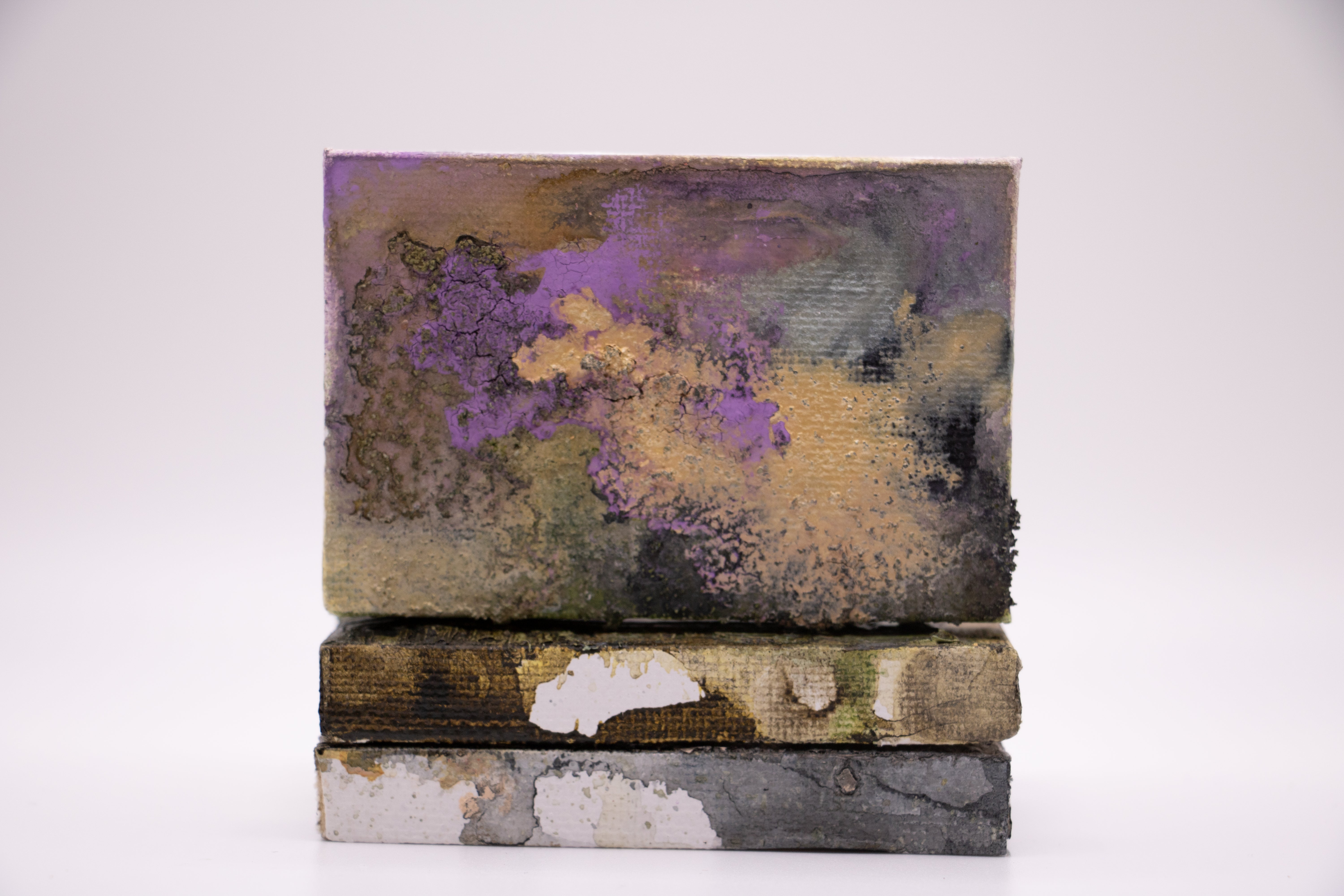 Denise Lafferre Rode Artwork by Denise Lafer – JKR Gallery
