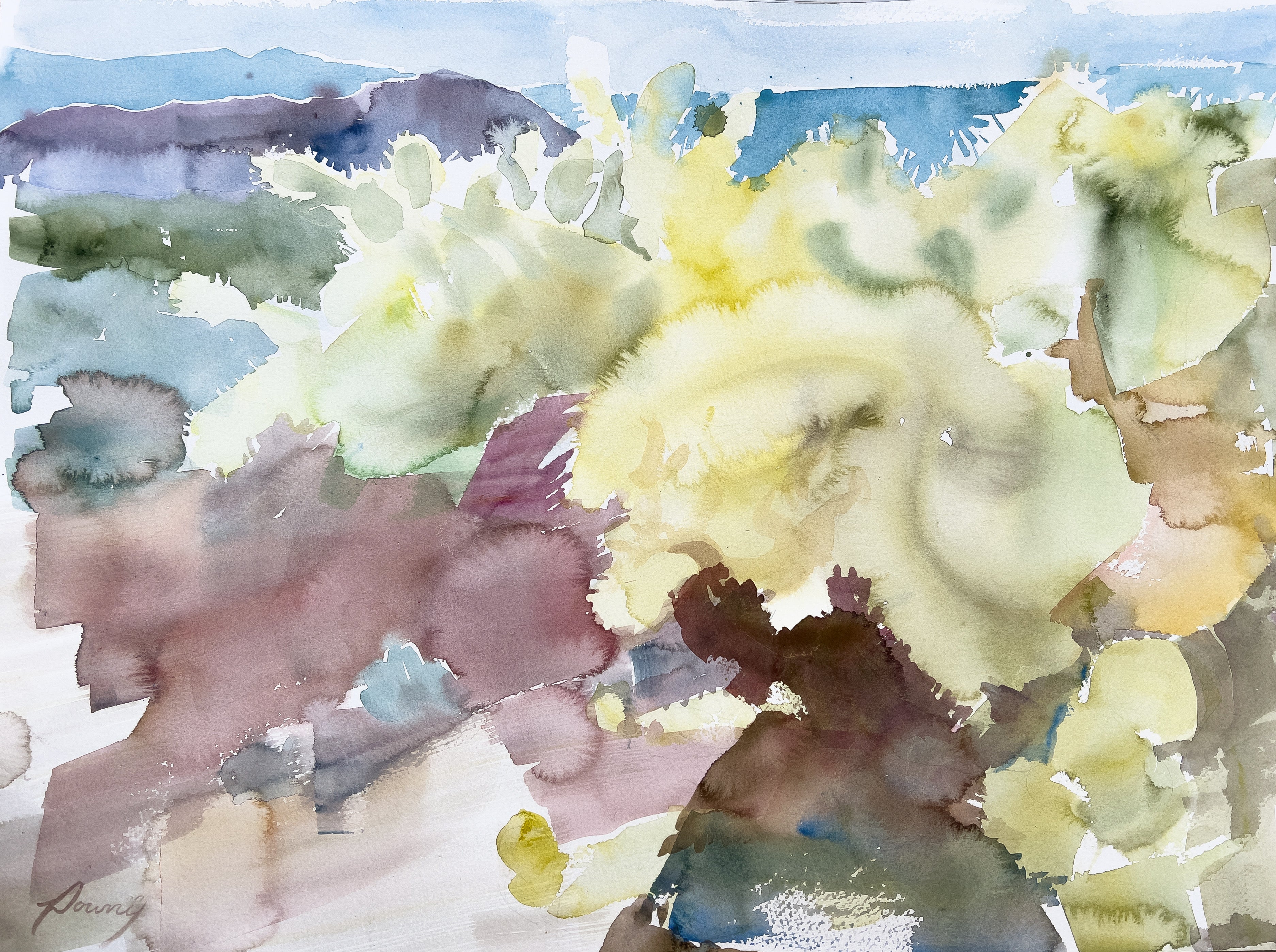 Downy Doxey-Marshall, Teddy Bear Cholla