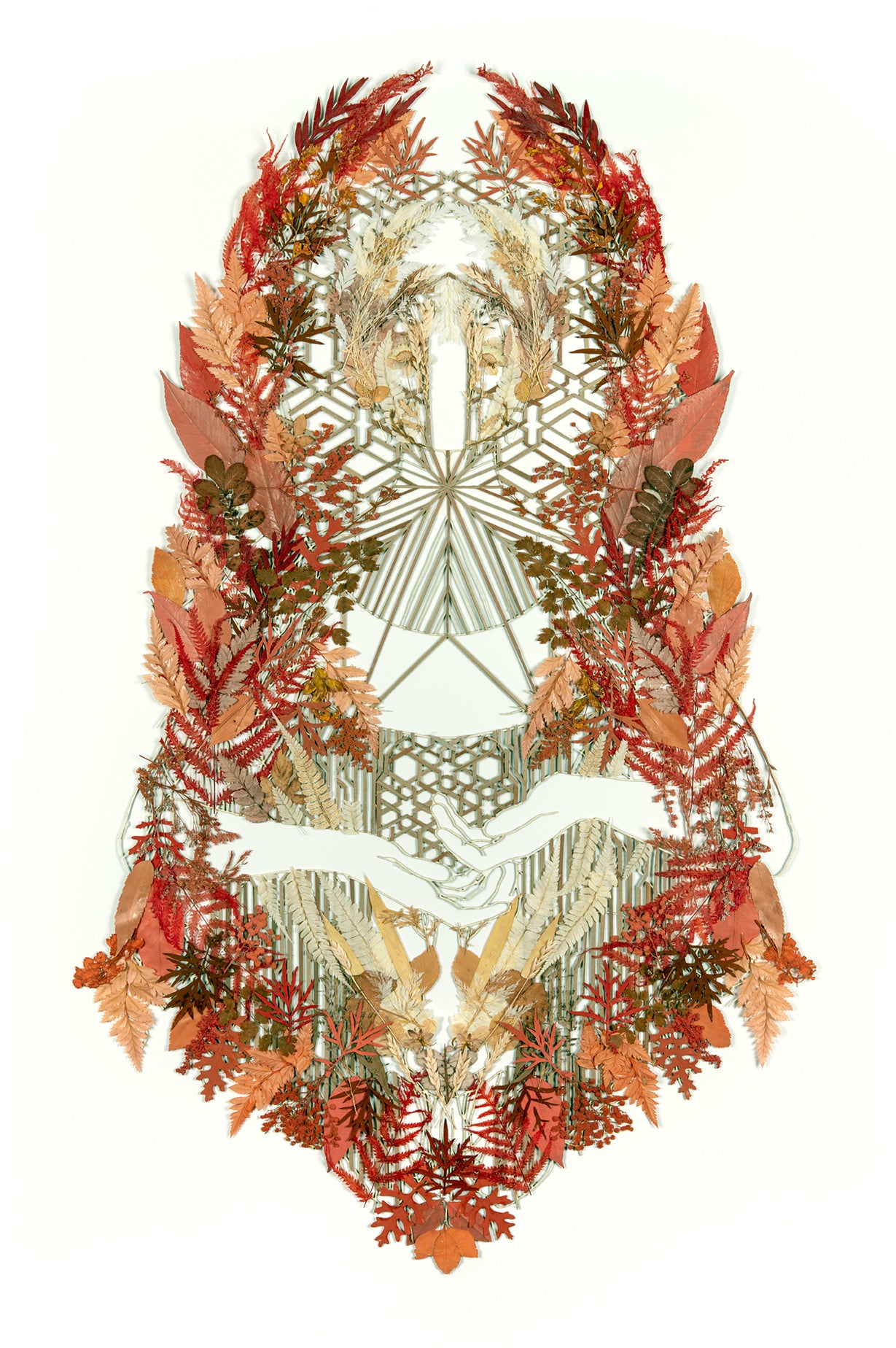 Serotinous, Elise Wehle