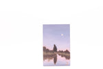 Load image into Gallery viewer, Artwork by Emilae Belo
