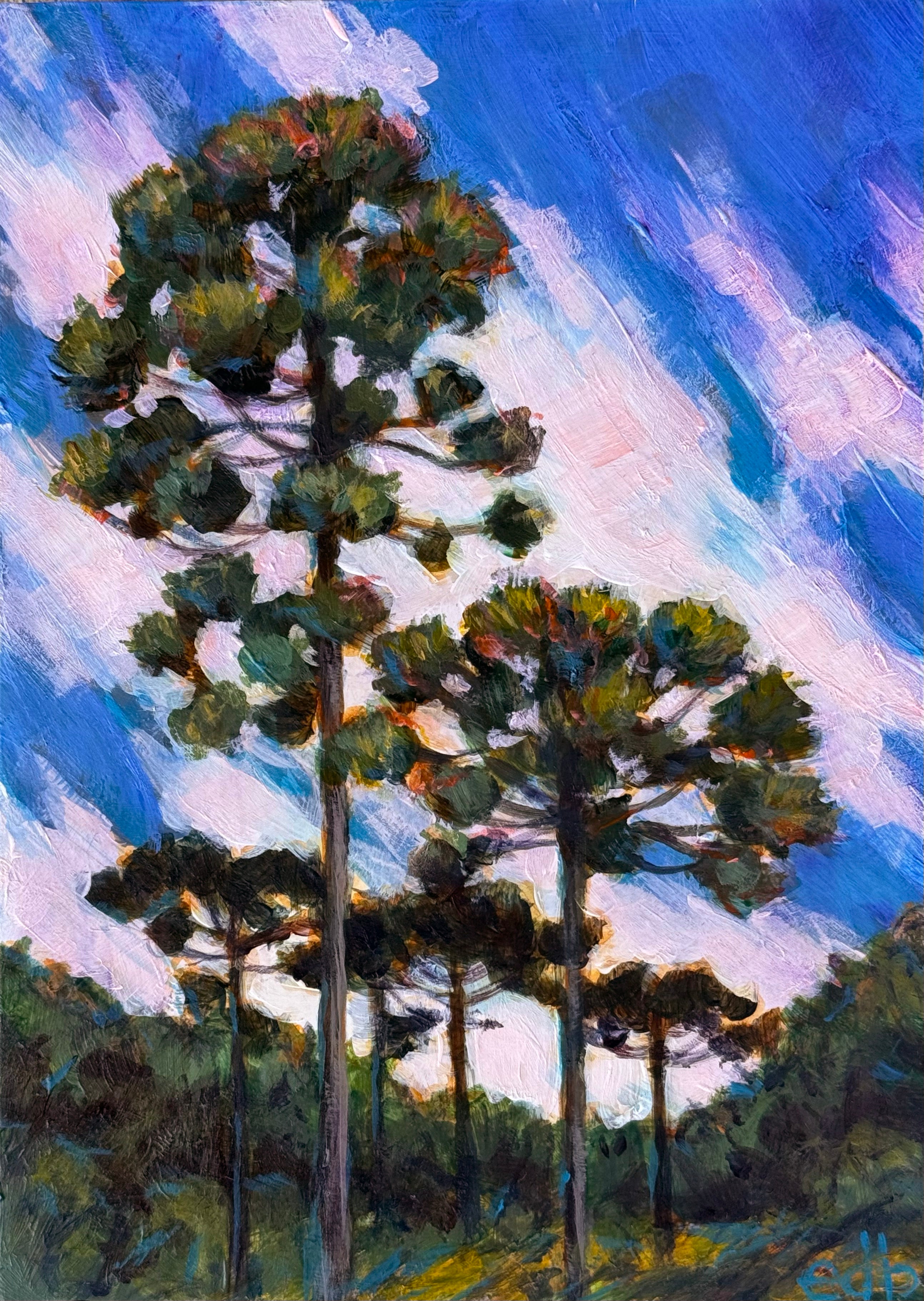 Erin Dinnell Bjorn, Parana Pines--Curitiba Saints' View