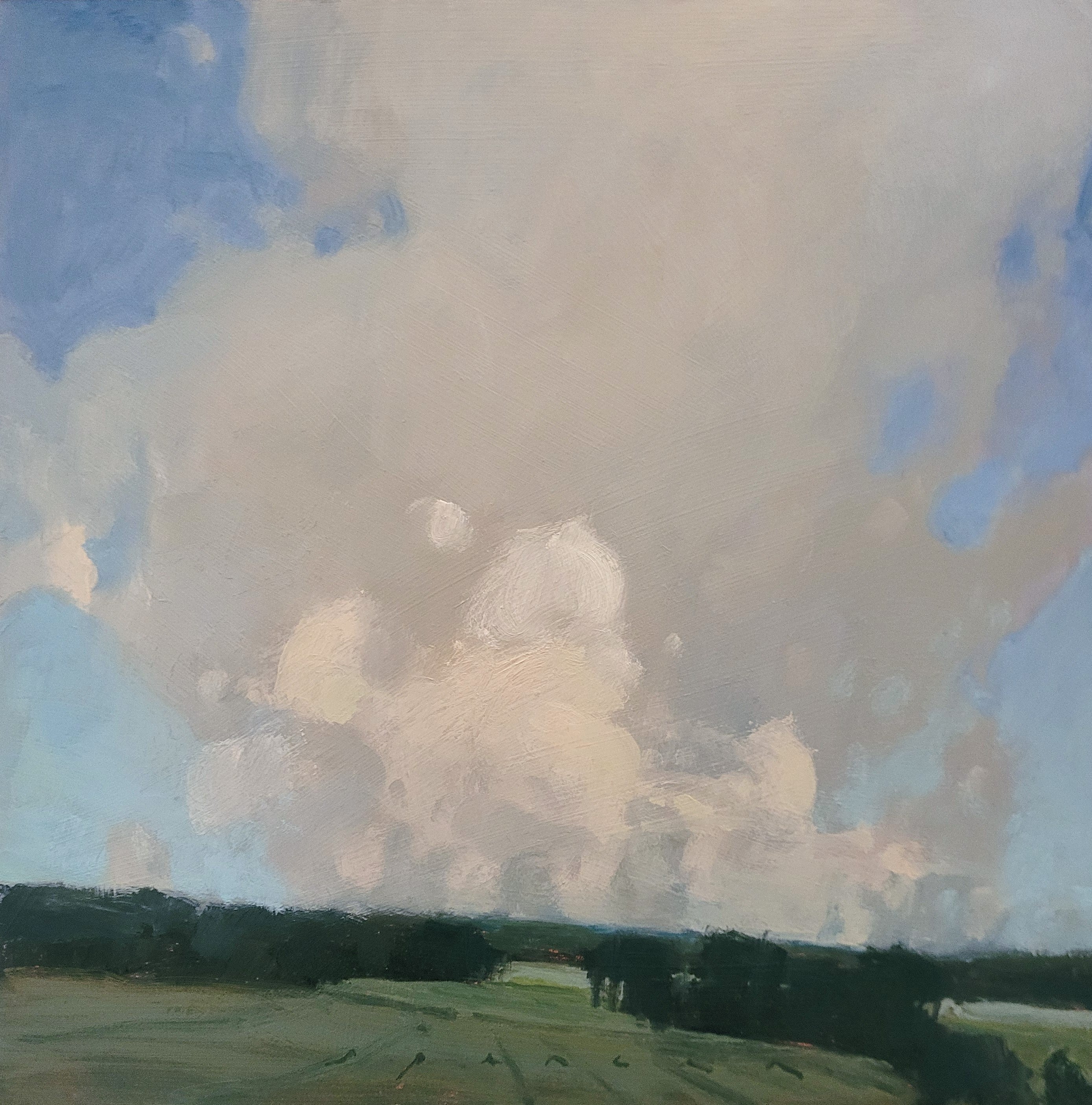 Through the Gap in the Trees, Erin Spencer