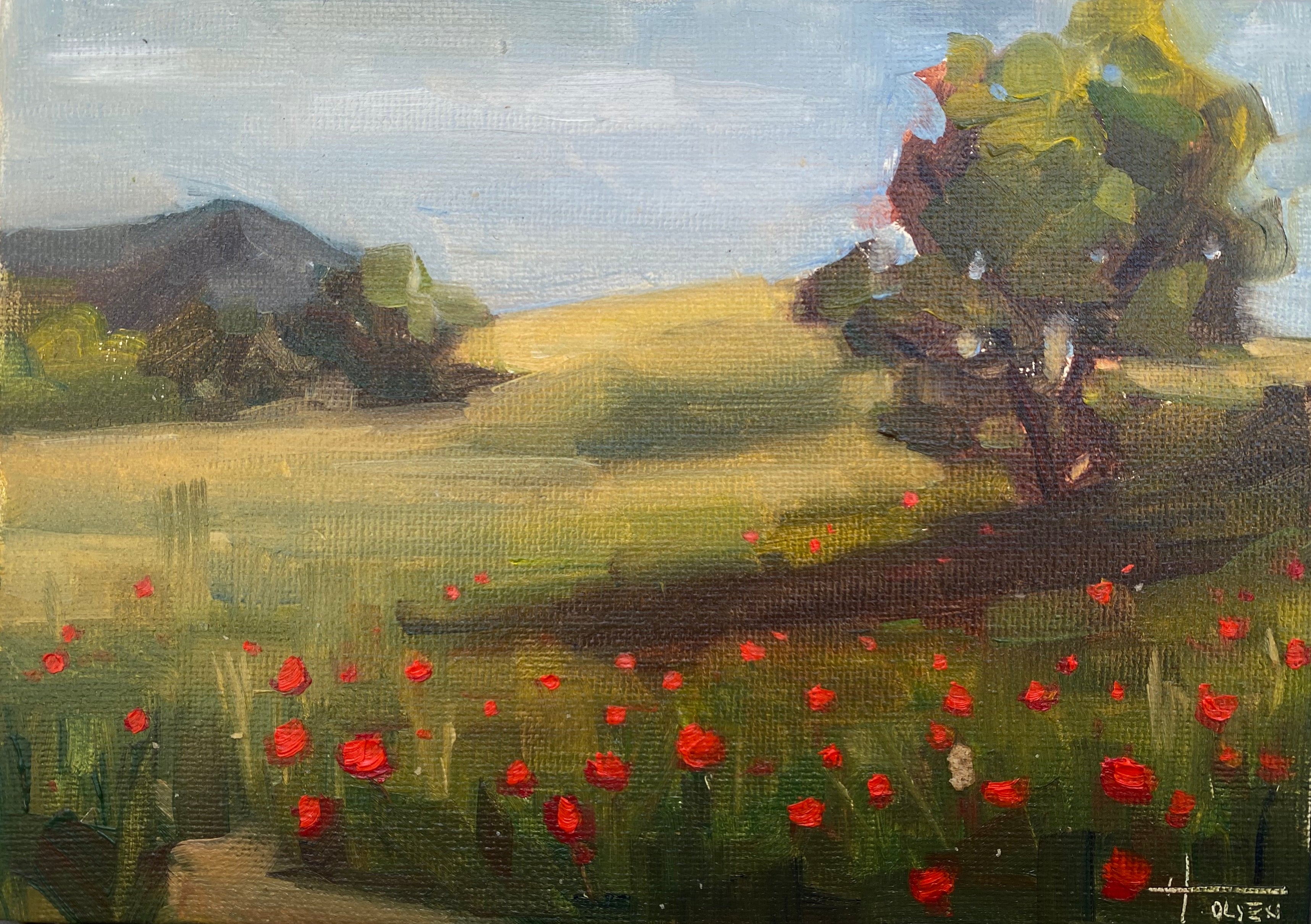 Heather Olsen, Poppies of Red