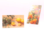 Load image into Gallery viewer, Artwork by Heather Richardson
