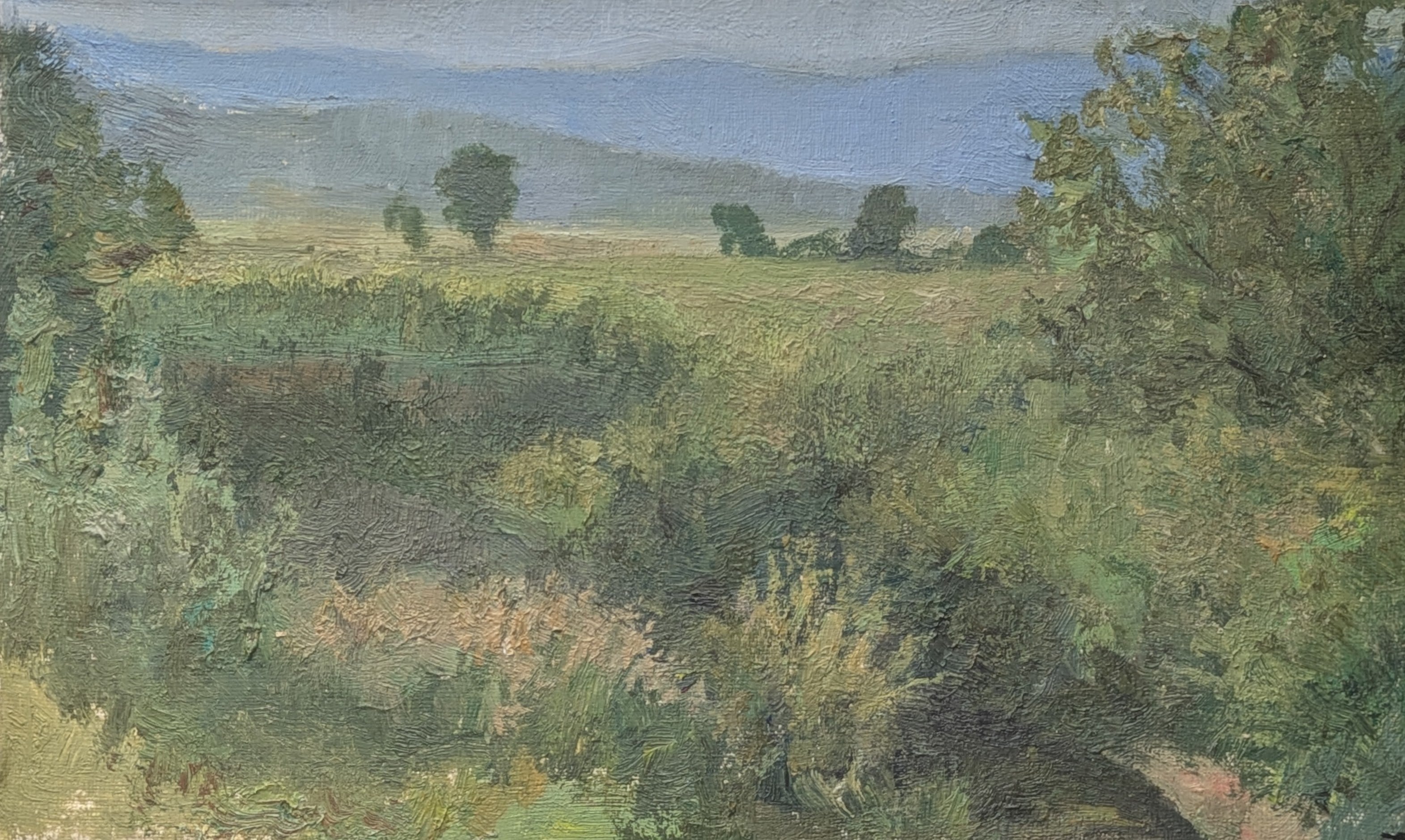 Henry DeGroff, San Pitch River--Morning