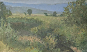 Henry DeGroff, San Pitch River--Morning