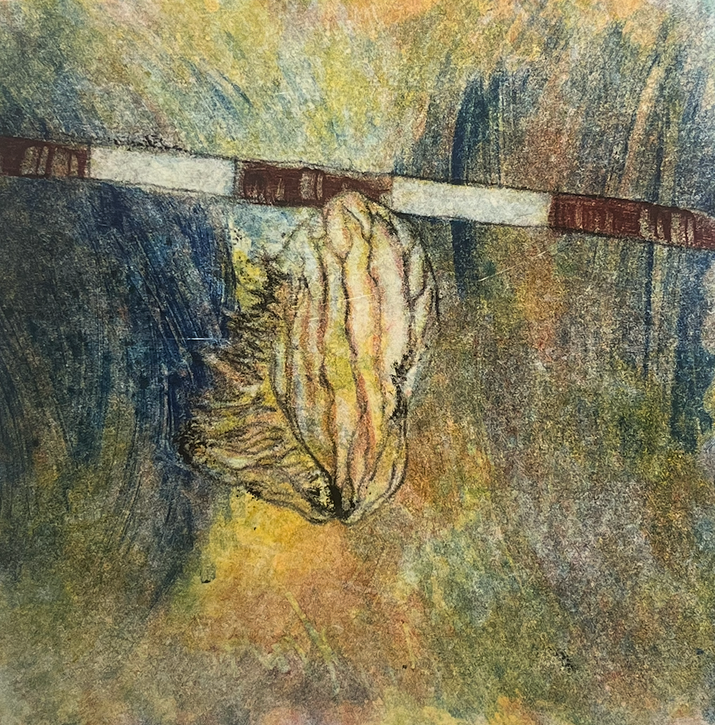 James Rees, Mango Seed – JKR Gallery