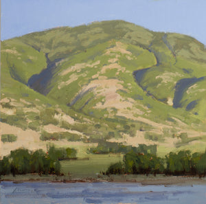 Jane Anne G. Woodhead, Late June on Deer Creek