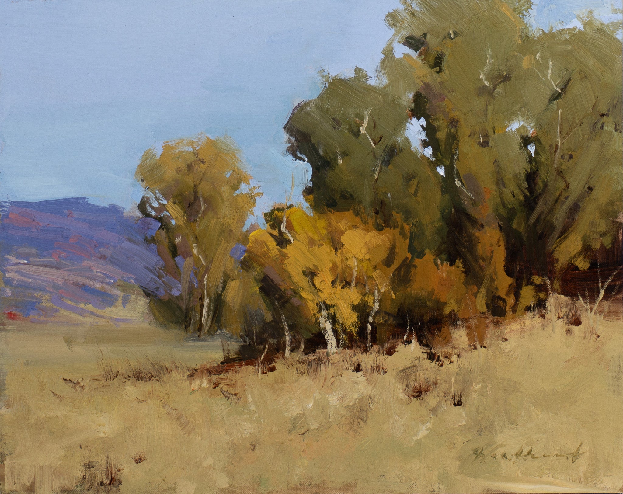 Jane Anne G. Woodhead, Starting to Turn