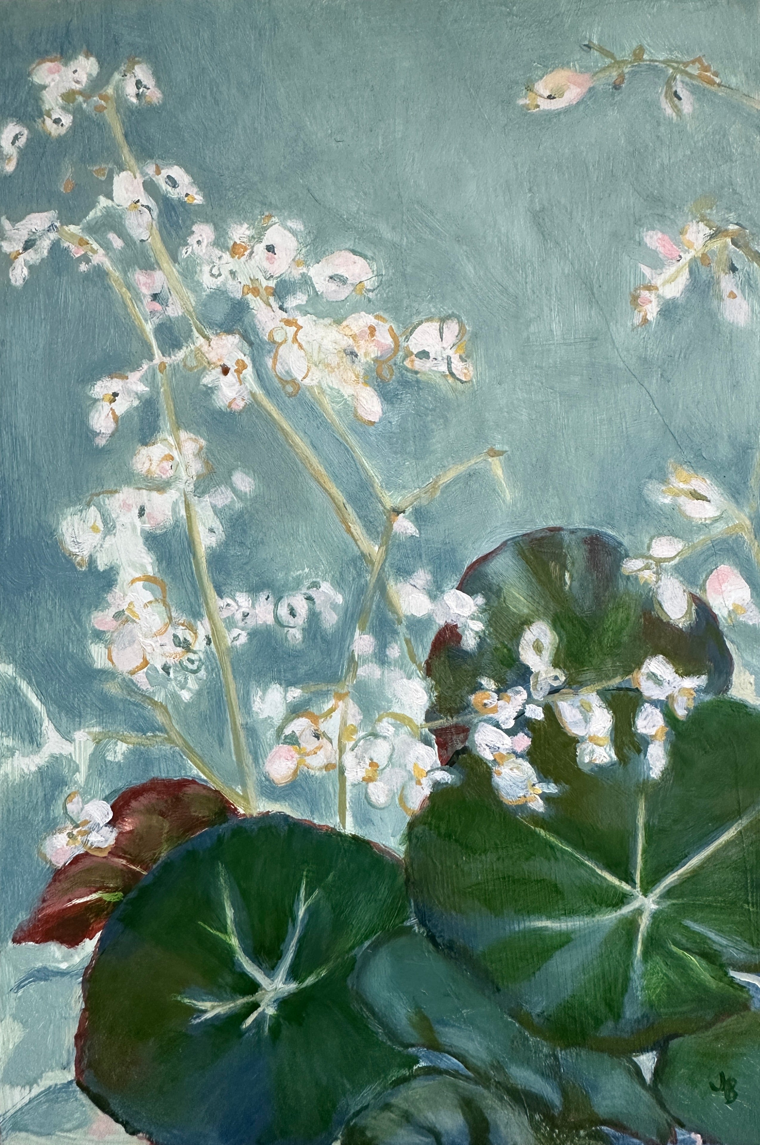 Jennifer Babcock, Begonia Tendrils
