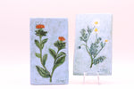 Load image into Gallery viewer, Artwork by Jessica Day Smith

