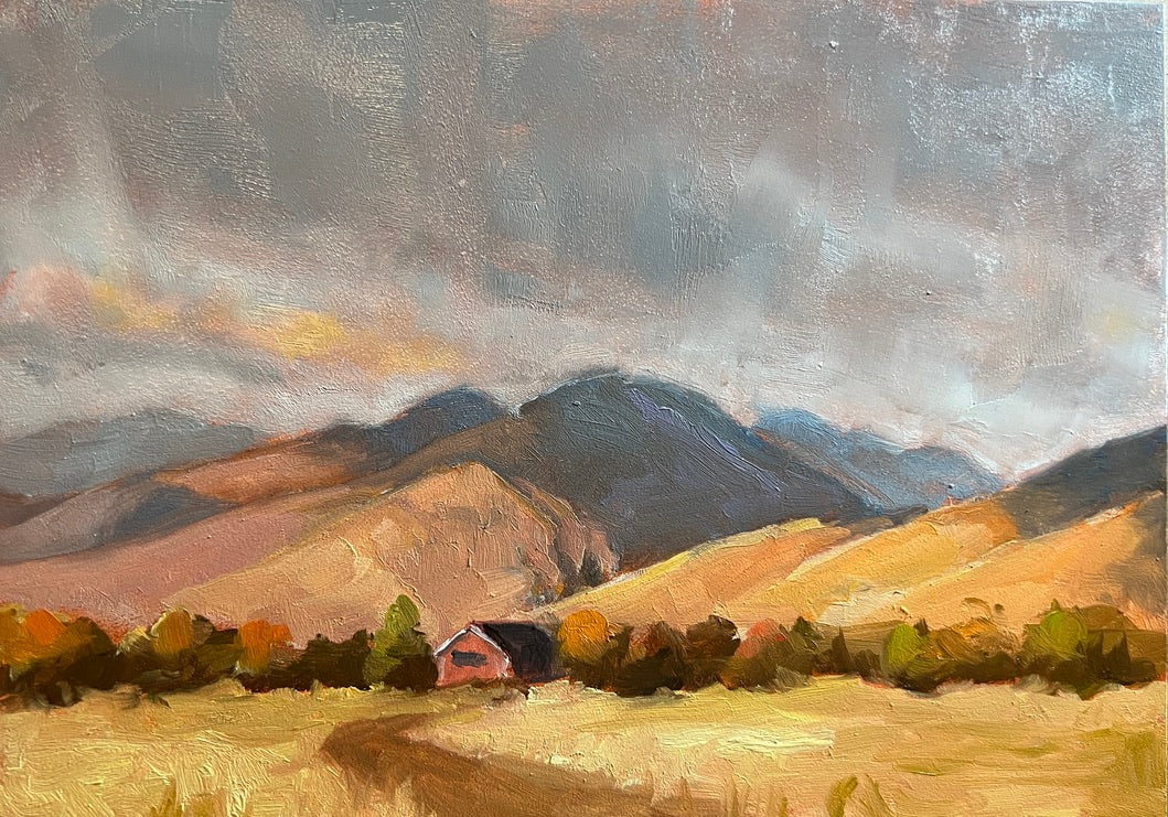 Jill Buckmiller, Sunset on the Foothills