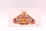 Load image into Gallery viewer, Artwork by Jordan Tillman

