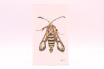 Load image into Gallery viewer, Artwork by Jordan Tillman
