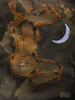 Load image into Gallery viewer, J. Kirk Richards, Works on Paper - 9 x 12 inches
