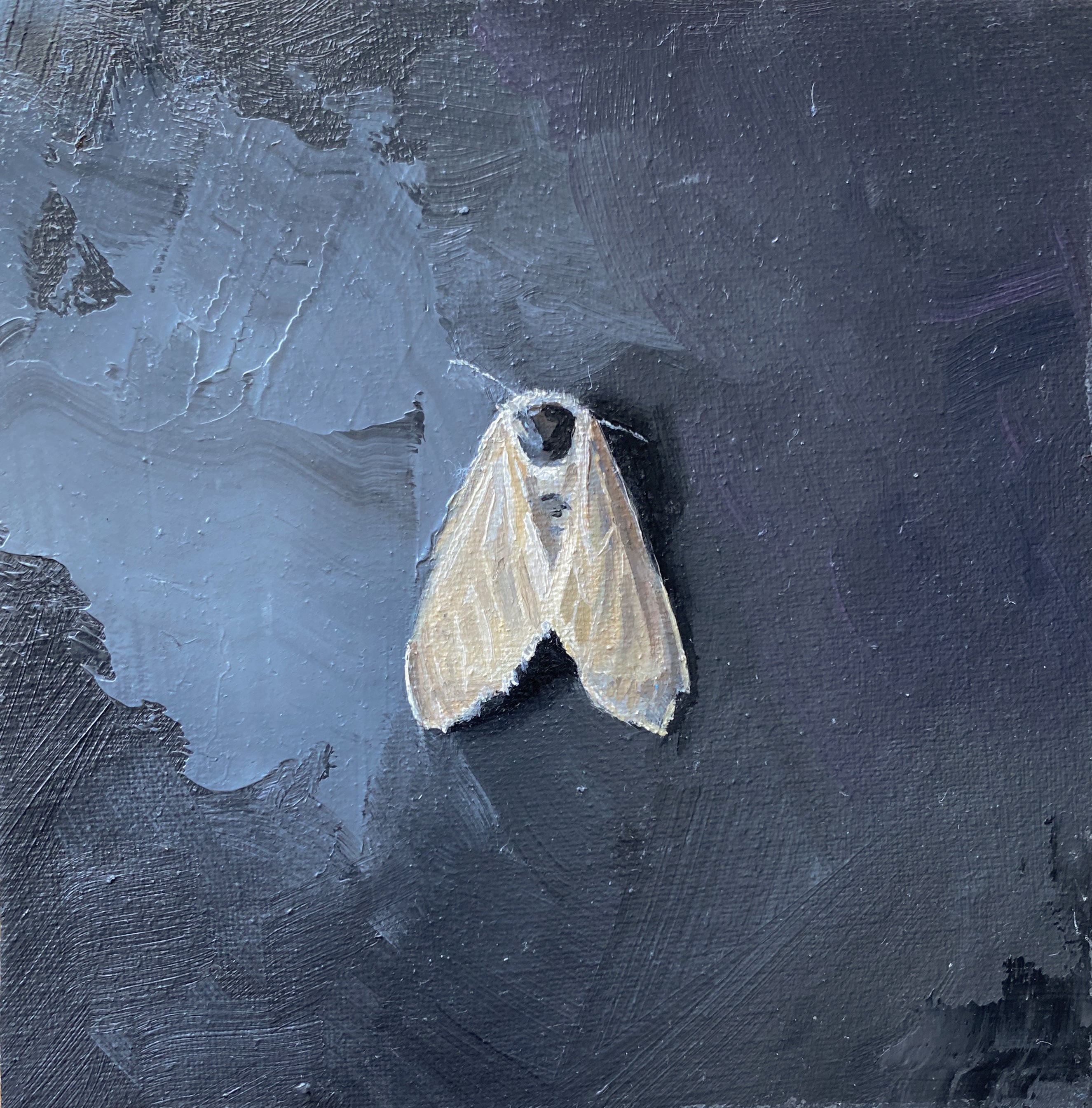 Nicole Parish, Lamp Ghost