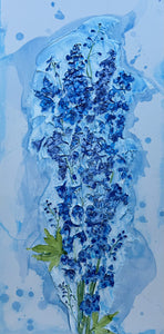 Delphinium, Laura Erekson