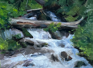 Liz Harris, Sundance Falls