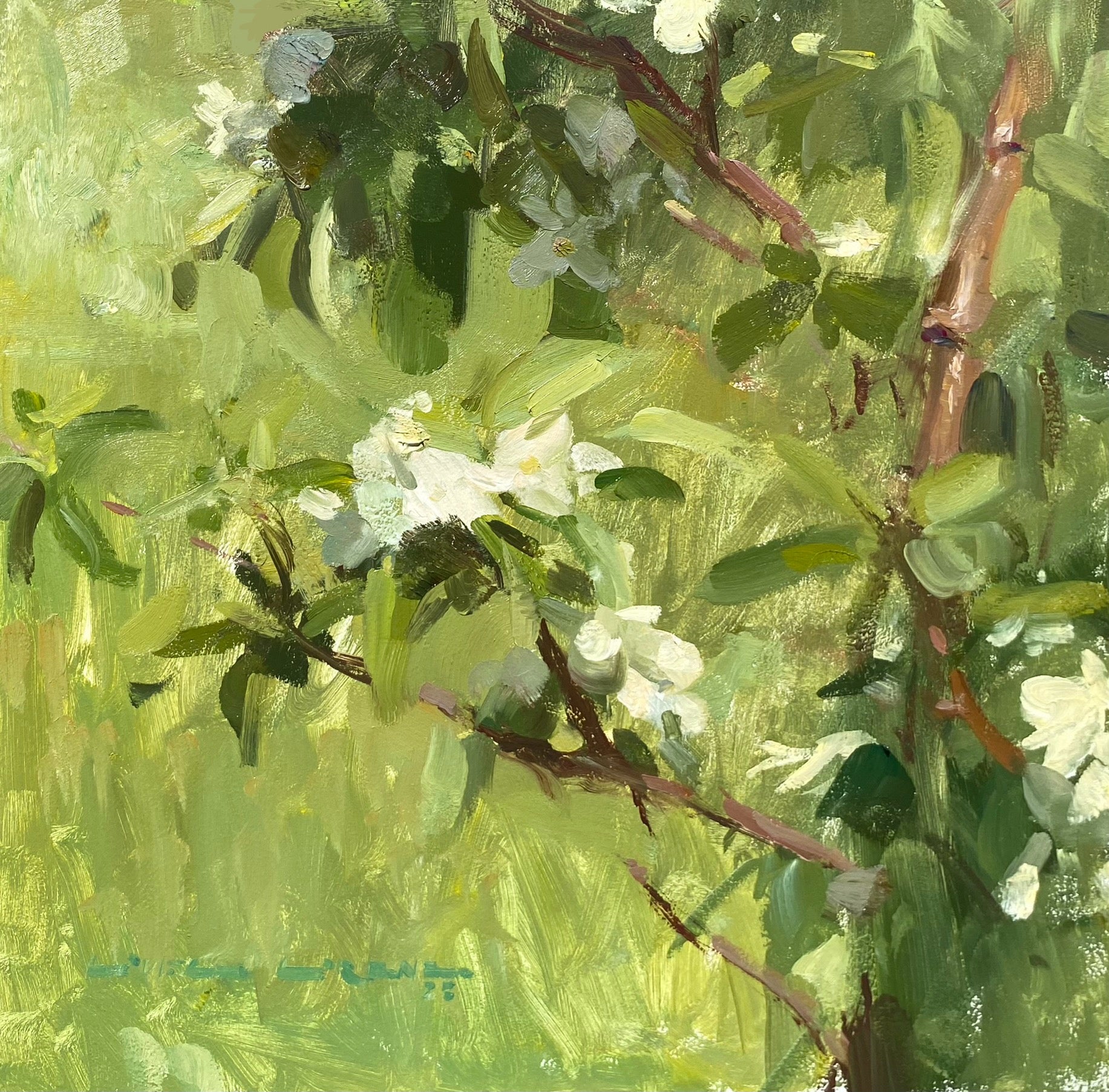 Louisa Lorenz, April Apple Blossoms