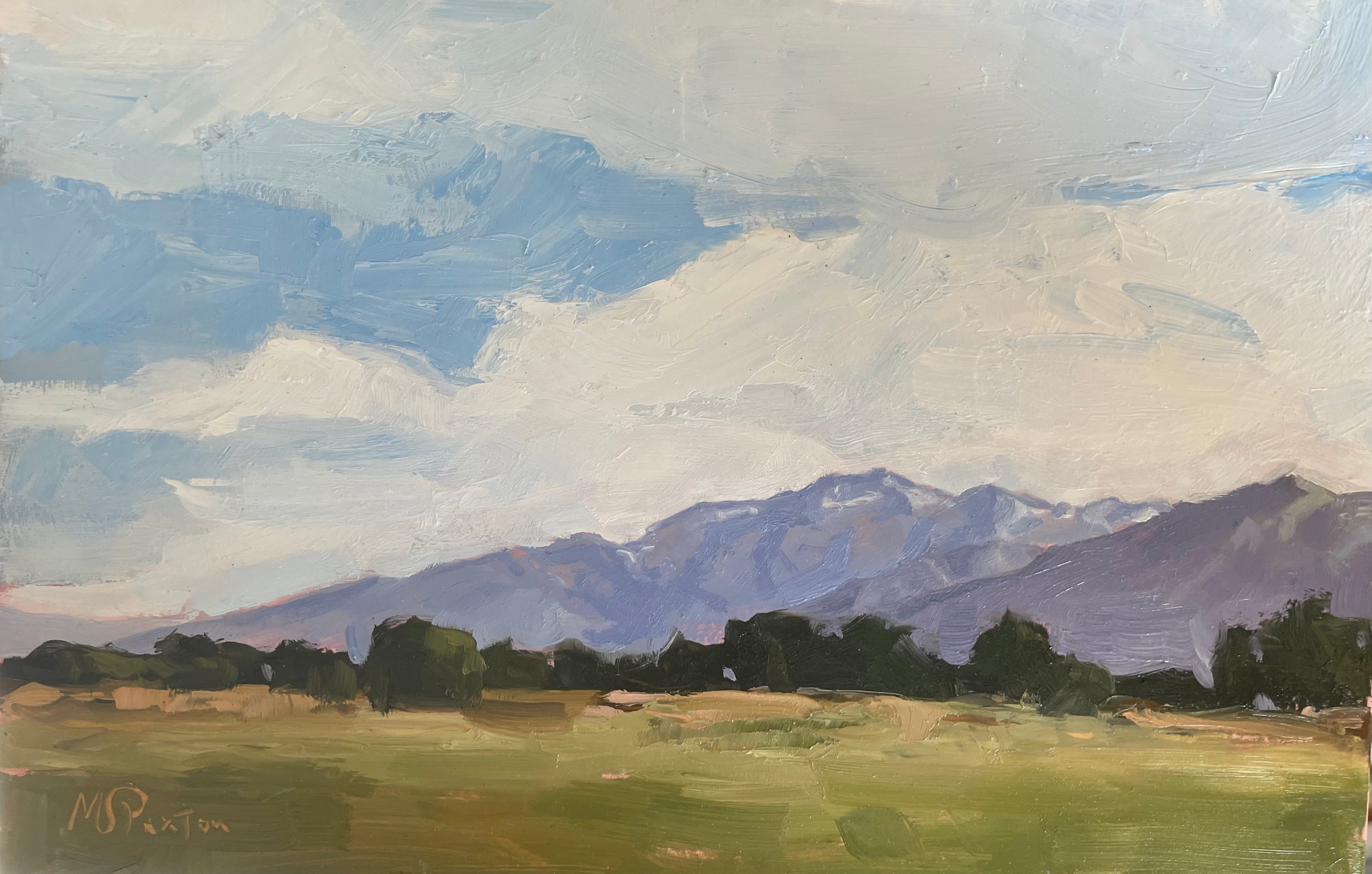 McKenzie S. Paxton, Peaks from the Valley