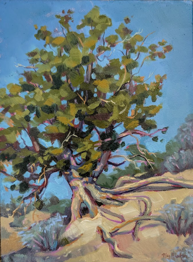 Megan Rieker, Maynard's Tree (From Maynard Dixon's Estate)