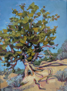 Megan Rieker, Maynard's Tree (From Maynard Dixon's Estate)