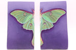 Load image into Gallery viewer, Artwork by Melissa Passanante Misurelli
