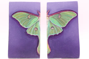 Artwork by Melissa Passanante Misurelli