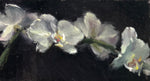 Load image into Gallery viewer, Artwork by Arena Shawn
