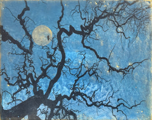 Shari Lyon, Moonlight Entanglement