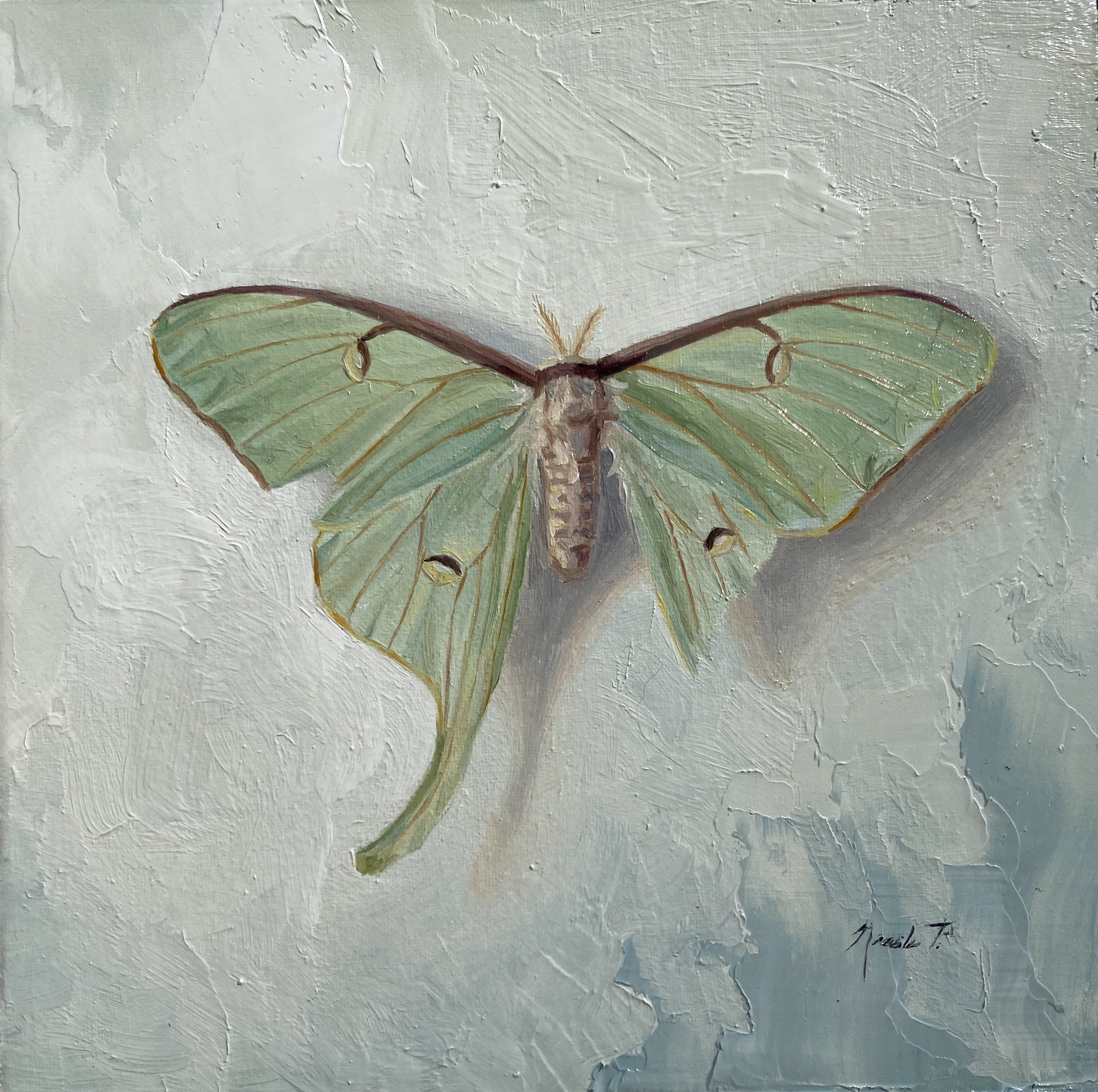 Resilient Wings, Nicole Parish